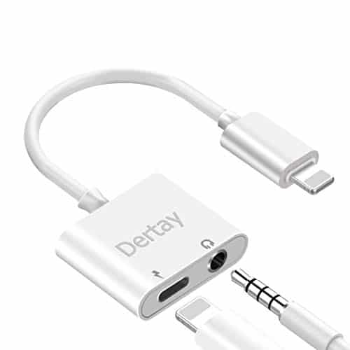 EasyAcc Mini Portable Aufladbarer Bluetooth Lautsprecher, Wireless Boxen Speaker für Smartphones, Tablets PC, mit Mikrofon, Unterstützt Micro SD-Karte Spielen & FM Funktion-Titanium Schwarz