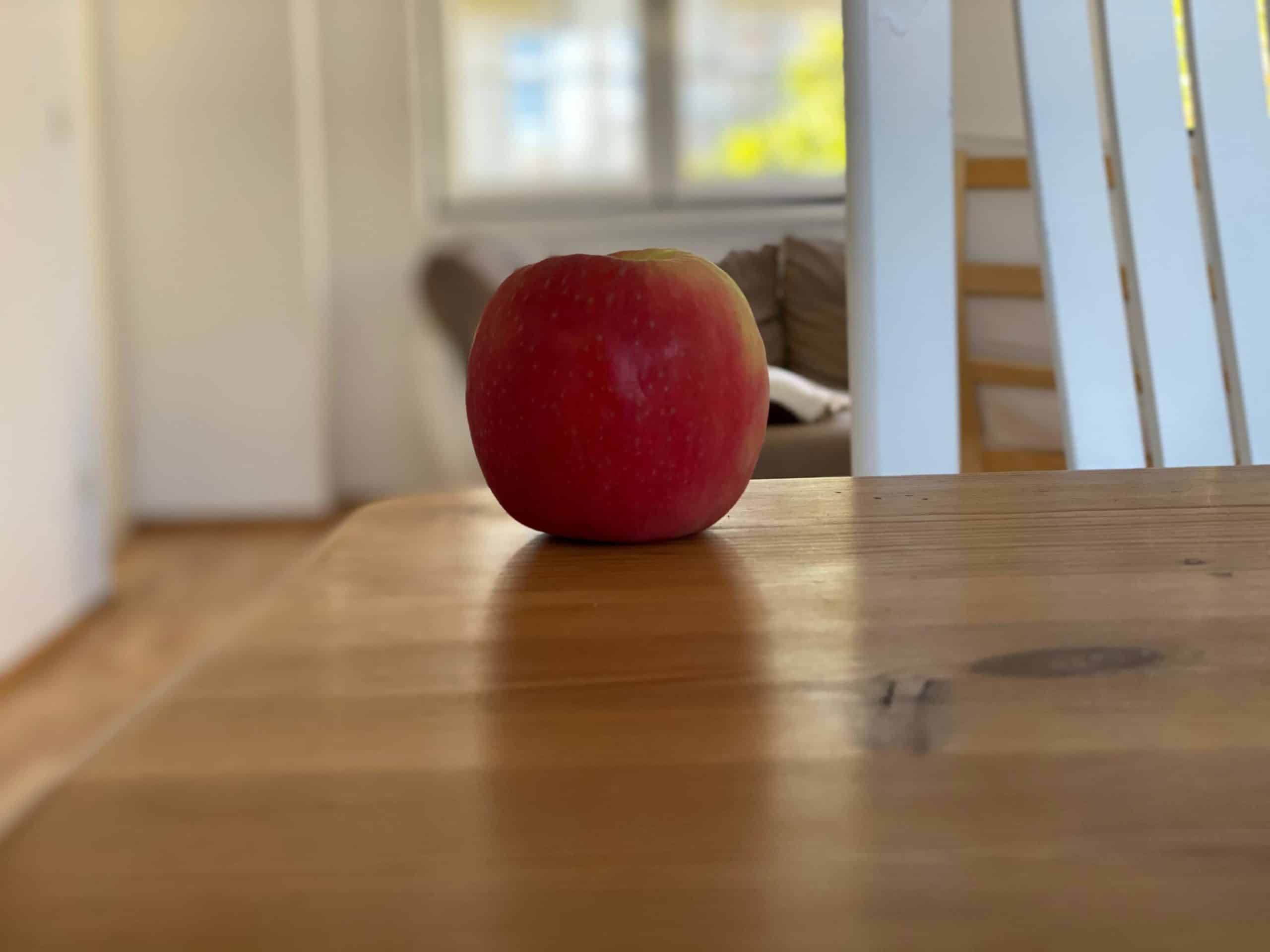 iPhone 11 Pro Porträt