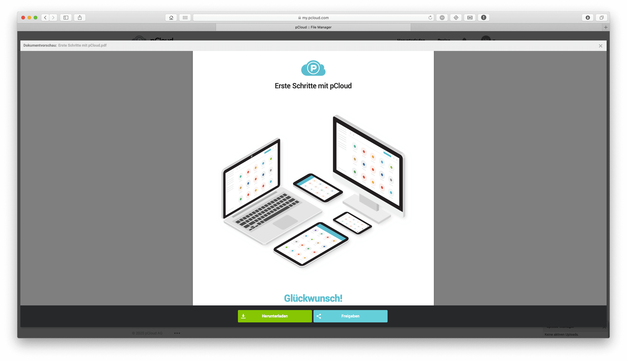 Dateivorschau des Web-Clients