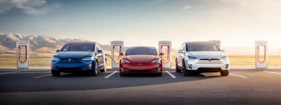 Wegen Elon Musk: Rossmann kauft keine Tesla mehr