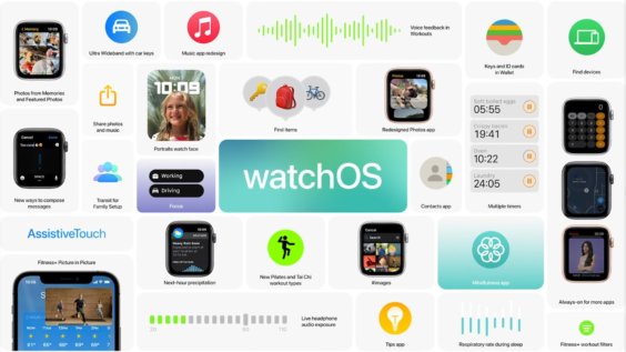 watchOS 8 Details