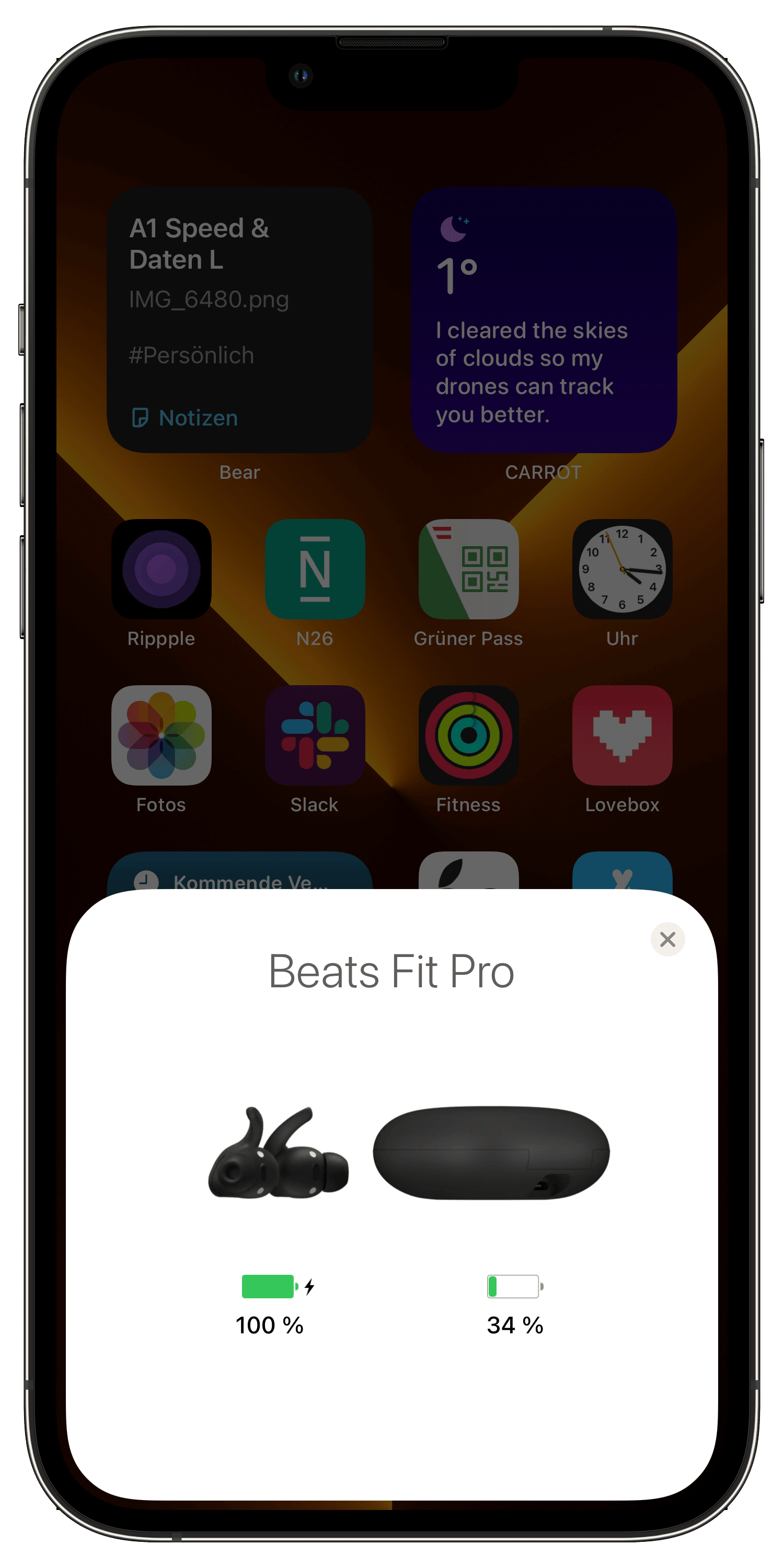 Beats Fit Pro Einrichtung