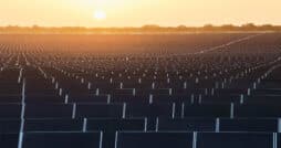 Feld aus Solarpanels in Texas - Apple