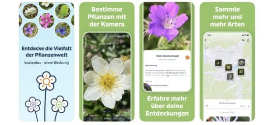 Flora Incognita: Pflanzenbestimmungs-App ab sofort mit Offline-Modus