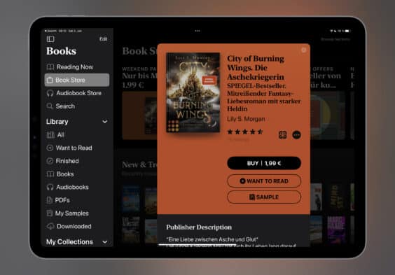 Das E-Book der Woche: Dieses Mal „City of Burning Wings. Die Aschekriegerin“ für 1,99 Euro mitnehmen