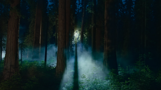 macOS-Beta: Sequoia 15.1 bekommt neues Wallpaper